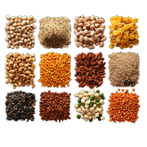 Dals&Pulses